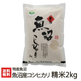 【令和5年度米】魚沼産コシヒカリ 精米 2kg 特産魚沼【白米/うるち米/新潟県産/こしひかり/魚沼産】【お土産/手土産/プレゼント/ギフトに！贈り物】【送料無料】 父の日 お中元