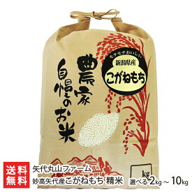 令和6年度産米 新潟 妙高矢代産こがねもち 精米 選べる 2kg 〜 10kg 矢代丸山ファーム 白米 もち米 新潟県産 コガネモチ 新潟県 生産者直送 お取り寄せ ギフト プレゼント 贈り物 送料無料 お歳暮