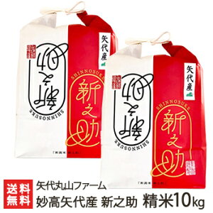 yߘa7NxVāzV Y VV  Iׂ 2kg ` 10kgi5kg×2j ێRt@[  邿 VY ̂ V YҒ  Mtg v[g 蕨 