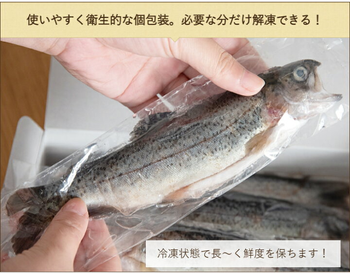 楽天市場】新潟産 冷凍川魚 イワナ・ヤマメ 各1箱（各11尾入り）魚沼 