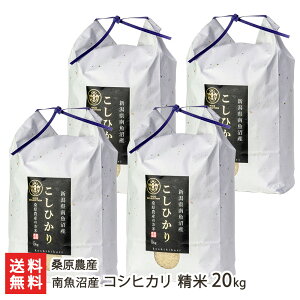 yߘa7NxVāz싛Y K_ỸRVqJ  Iׂ 2kg 4kg 5kg 6kg 10kg 20kg K_Y  邿 Ђ VY Y V YҒ  Mtg v[g 