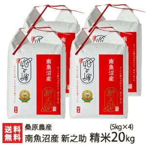 yߘa7NxVāz싛Y K_Y̐VV  Iׂ 2kg ` 20kg K_Y  邿 ̂ VY Y V YҒ  Mtg v[g 蕨
