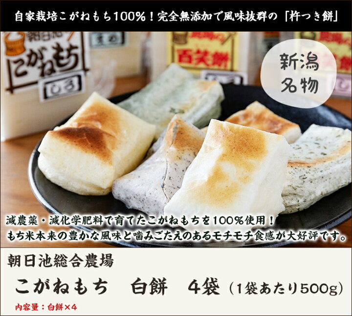 93%以上節約 杵つきもち 5袋セット 白餅24切 草餅16切 fucoa.cl 93%以上節約 杵つきもち 5袋セット 白餅24切 草餅16切 fucoa.cl
