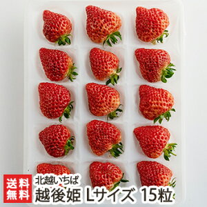 Vuh zP LTCY 15 kz΁y/C`S/̂ꂽĎYn/VNE݂/Ђ߁zyyY/yY/MtgɁI蕨zyz Ε