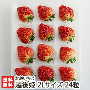 Vuh zP 2LTCY 24 kz΁y/C`S/̂ꂽĎYn/VNE݂/Ђ߁zyyY/yY/MtgɁI蕨zyz Ε