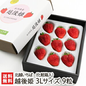 Vuh zP 3LTCY 9iϔjkz΁y/C`S/̂ꂽĎYn/VNE݂/Ђ߁zyyY/yY/MtgɁI蕨zyz Ε