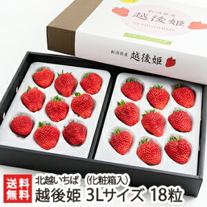 Vuh zP 3LTCY 18iϔjkz΁y/C`S/̂ꂽĎYn/VNE݂/Ђ߁zyyY/yY/MtgɁI蕨zyz Ε