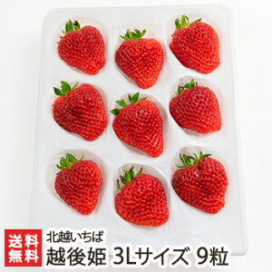 Vuh zP 3LTCY 9 kz΁y/C`S/̂ꂽĎYn/VNE݂/Ђ߁zyyY/yY/MtgɁI蕨zyz Ε