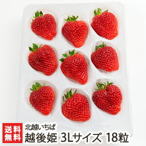 Vuh zP 3LTCY 18 kz΁y/C`S/̂ꂽĎYn/VNE݂/Ђ߁zyyY/yY/MtgɁI蕨zyz Ε