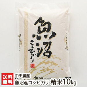 yߘa7NxVāzY RVqJ  Iׂ 2kg ` 10kg c_Y  邿 VY Ђ V YҒ  Mtg v[g 蕨 