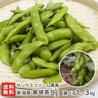 新潟産 黒埼茶豆 ※ GI登録 茶豆品種 1kg or 2kg or 3kg サンクスファーム黒鳥 ちゃまめ 茶まめ 茶マメ …