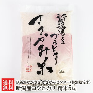 yߘa7NxVāzʍ͔|āi_Ew엿jVY RVqJ 5kg JAV₫ ݃Z^[y 邿 Ђ 񂹃OzyyY/yY/v[