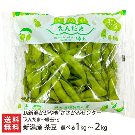 新潟産 茶豆「1kg」or「2kg」 JA新潟かがやき ささかみセンター【笹神/ちゃまめ/枝豆/えだまめ/エダマメ/チャマメ/有機農業/えんだま/縁玉/お取り寄せグルメ/おつまみ/おやつ】【お土産/手土産/ギフトに！贈り物】【送料無料】 父の日 お中元