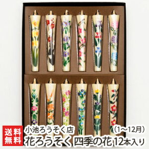 Ԃ낤 lG̉ԁu1`12v12{ r낤XyE\N/XC/a낤/G낤/zԂ낤/`/d///~zyyY/yY/v[g/MtgɁI