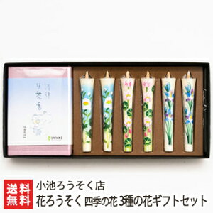 Ԃ낤 lG̉ 3̉ԃMtgZbg r낤XyE\N/XC/a낤/G낤/zԂ낤/`/d///~/zyyY/yY/v[g/Mt