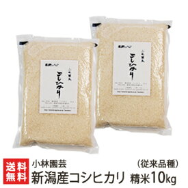 【令和5年度米】新潟産コシヒカリ（従来品種） 精米10kg（5kg×2）【新潟県産/こしひかり/非BL/従来種/従来型/クラシックコシヒカリ】【送料無料】 父の日 お中元