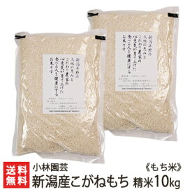 【令和5年度米】新潟産こがねもち（もち米）精米10kg（5kg×2）【新潟県産/新潟米/コガネモチ/モチ米/餅米/精白米/白米】【送料無料】 父の日 お中元