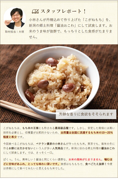 楽天市場】令和6年度産米 新潟産こがねもち（もち米）精米1.5kg【新潟 