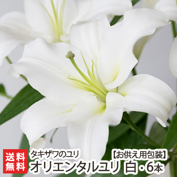 ユリ 切り花の人気商品・通販・価格比較 - 価格.com