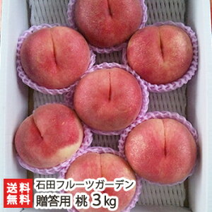 �V���Y �� �����p 3kg�i8�`11�ʁj�Γc�t���[�c�K�[�f���y����/����/�t���[�c�z�y���������z