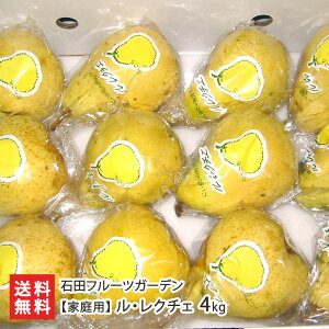 yƒpz EN`F 4kg i10~14ʁj Γct[cK[f 󂠂 m mȂ miV t[c V YҒ  