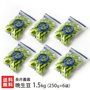 VY } Ӑ Iׂ 500g ` 1.5kg _ NxQ H̎} } ܂ G_}   V YҒ  Mtg v[g 蕨 