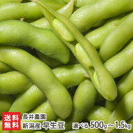 新潟産 枝豆 早生豆 選べる 500g 〜 1.5kg 長井農園 鮮度抜群 早生品種 枝豆 えだまめ エダマメ えだ豆 …