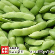 新潟産 茶豆 選べる 500g 〜 1.5kg 長井農園 鮮度抜群 枝豆 えだまめ エダマメ えだ豆 朝取り 新潟県 生…