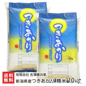yߘa7NxVāzVY  5kg ` 10kg LЋgVq  邿 cLAJ VY V YҒ  Mtg v[g 蕨 