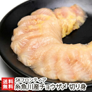 Y `EU ؂g SKteBAyV//VY/g/hg/H/{B/@낢zyyY/yY/v[g/MtgɁI蕨zyz