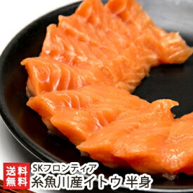 楽天市場 イトウ 養殖の通販