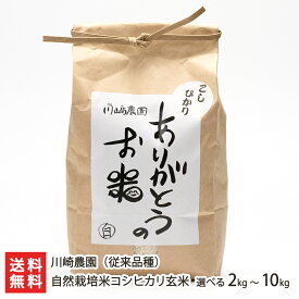 【令和7年度米】新潟産 自然栽培米（無農薬・無化学肥料）従来品種コシヒカリ 玄米選べる 2kg 5kg 10kg 川崎農園 玄米 うるち米 新潟県産 こしひかり 従来米 非BL種 新潟県 生産者直送 お取り寄せ ギフト プレゼント 贈り物 送料無料
