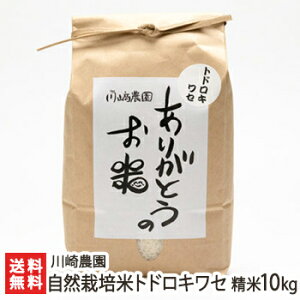 yߘa7NxVāzVY R͔|āi_Ew엿jghLZ  Iׂ 2kg 5kg 10kg _  邿 VY Ƃǂ낫킹  V YҒ  Mt