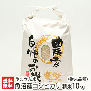 yߘa7NxVāzYRVqJ 10kg ܂ VY Yn y]i Ђ  VYzyz