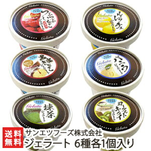 WF[g 6e1 TGct[YЁyV/V/zyyY/yY/v[g/MtgɁI蕨zyz