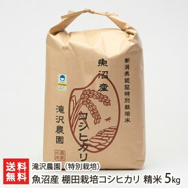 【令和7年度米】特別栽培米（減農薬・減化学肥料）魚沼産 棚田栽培コシヒカリ 精米 5kg 滝沢農園【白米/うるち米/こしひかり/新潟県産/魚沼産】【お土産/手土産/プレゼント/ギフトに！贈り物】【送料無料】 お歳暮
