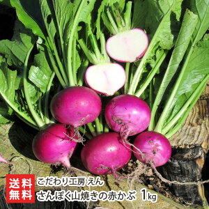 VEY ۂRĂ̐Ԃ 1kgi6`8j H[  VY VY ԃJu  Е _ w엿 Ĕ_@ V YҒ  Mtg v[g