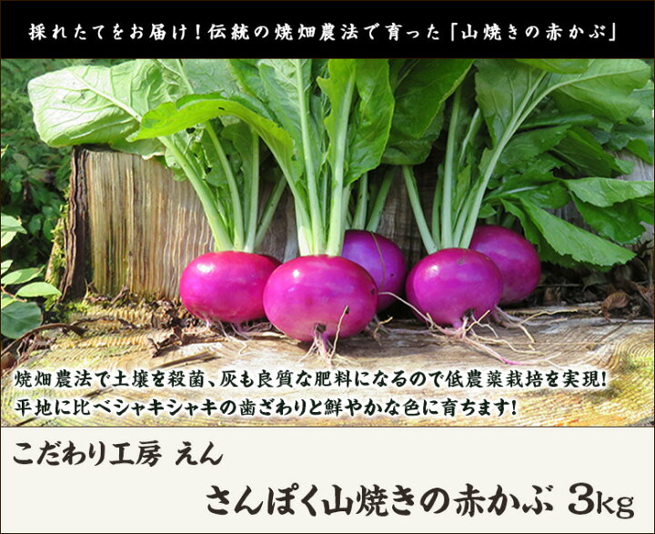 楽天市場 新潟 村上産 山焼きの赤かぶ 3kg 18個 24個入り こだわり工房 えん 新潟産 新潟県産 赤カブ 蕪 減農薬 減化学肥料 焼畑農法 後払い決済不可 代金引換不可 送料無料 新潟直送計画 楽天市場店