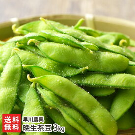 晩生茶豆（品種：晩酌茶豆・つきみ娘など）「900g」or「2.1kg」or「3kg」早川農興【えだまめ/エダマメ/えだ豆/おつまみ/おやつ】【お土産/手土産】【送料無料】