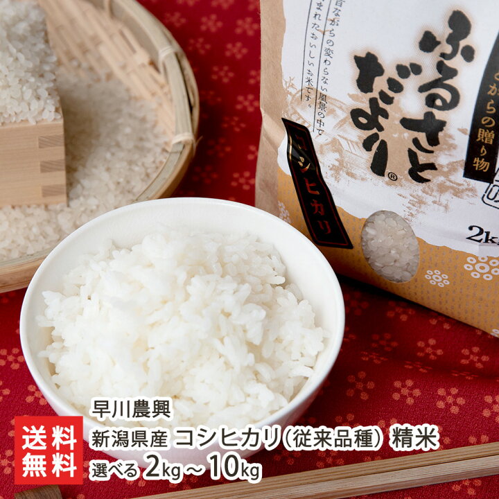 楽天市場】【令和7年度米】 新潟県産 コシヒカリ (従来品種) 精米 