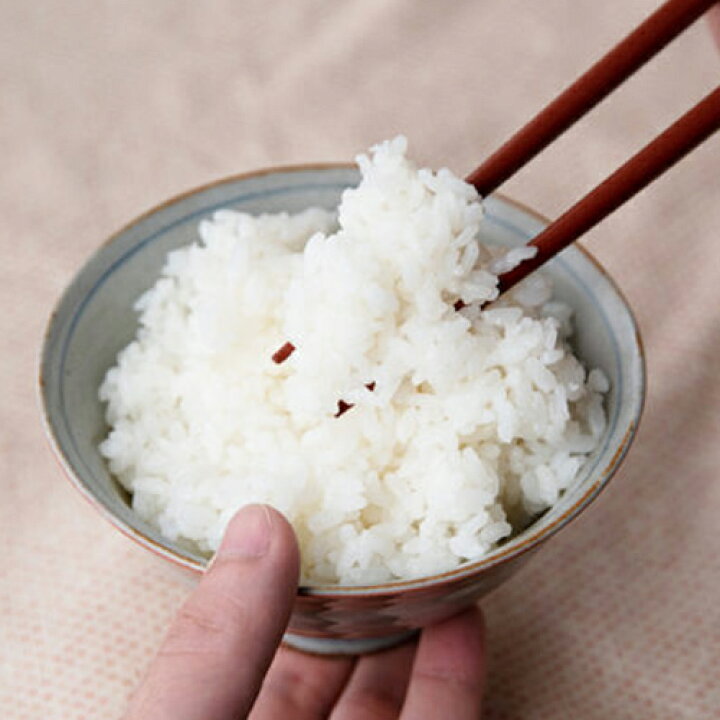 人気特価激安 令和3年 5kg 玄米 新潟 コシヒカリ 農家直送 糸魚川 能生米 送料無料 Materialworldblog Com