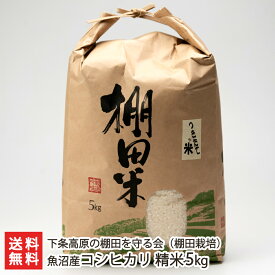 令和6年度産米 魚沼産コシヒカリ（棚田栽培）精米5kg 下条高原の棚田を守る会【こしひかり/新潟産/新潟県産/棚田米/魚沼コシヒカリ】【お土産/手土産/プレゼント/ギフトに！贈り物】【送料無料】