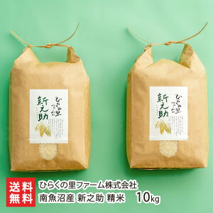 yߘa7NxVāz싛Y VV  Iׂ 2kg 5kg 10kg Ђ炭̗t@[ Y  邿  ̂ V YҒ  Mtg v[g 蕨 