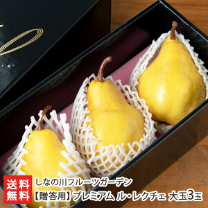 ypzv~A EN`F 3 (1.3kgȏ) Ȃ̐t[cK[f x16xȏ xۏ VY EN`F miV mȂ  t[c V YҒ 