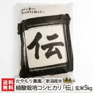 yߘa7NxVāzw엿 VY A_͔|RVqJu`v Iׂ 2kg ` 5kg _ 邿 VY V Ђ E_fܓ2d w엿sgp V Y