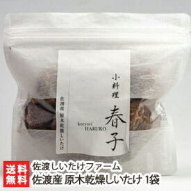 新潟 佐渡産 原木乾燥しいたけ 1袋（1袋あたり80g）佐渡しいたけファーム【椎茸/シイタケ/きのこ/キノコ/茸/自然栽培/乾物】【送料無料】 父の日 お中元