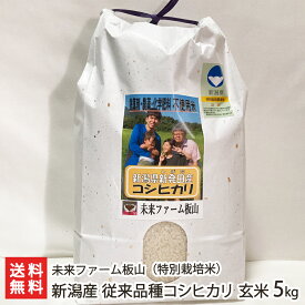 令和6年度産米 特別栽培米（無農薬・無化学肥料） 新潟産 従来品種コシヒカリ 玄米5kg 未来ファーム板山 産地直送 送料無料【新潟直送計画 こしひかり】 お歳暮