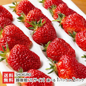越後姫 2Lサイズ 選べる 1パック入り or 2パック入り ※オリジナルの包装紙による包装はありません SHOKURO えちごひめ 苺 イチゴ いちご 大粒 甘い 果物 フルーツ 新潟 新潟産 完熟 新潟ブランド苺 しょうくろう ショークローお兄さん 生産者直送 送料無料