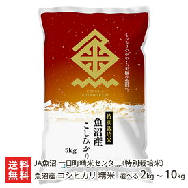 【令和7年度米】特別栽培米（減農薬・減化学肥料）魚沼産コシヒカリ 精米 選べる 2kg 5kg 10kg JA魚沼 十日町精米センター 新潟直送計画 こしひかり ライス お米 新潟県 生産者直送 お取り寄せ ギフト プレゼント 贈り物 お歳暮