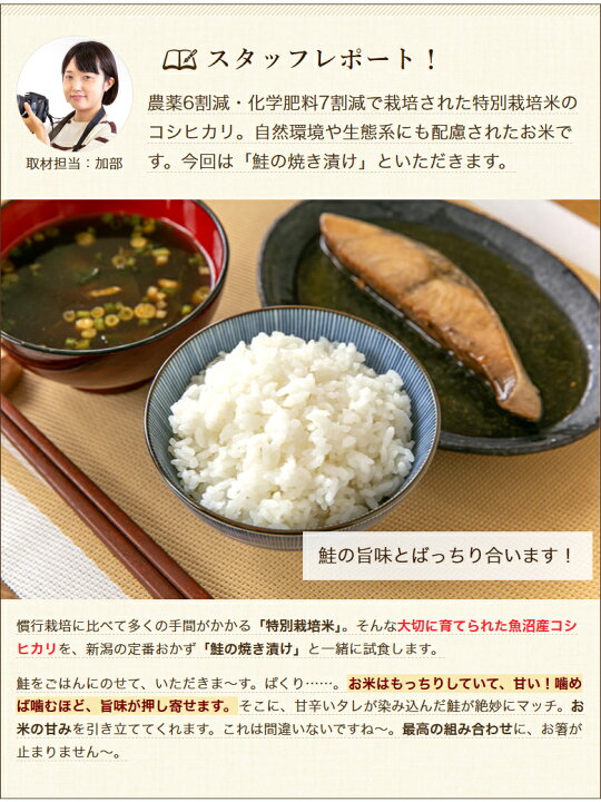 楽天市場】【令和7年度米】特別栽培米（減農薬・減化学肥料）魚沼産 
